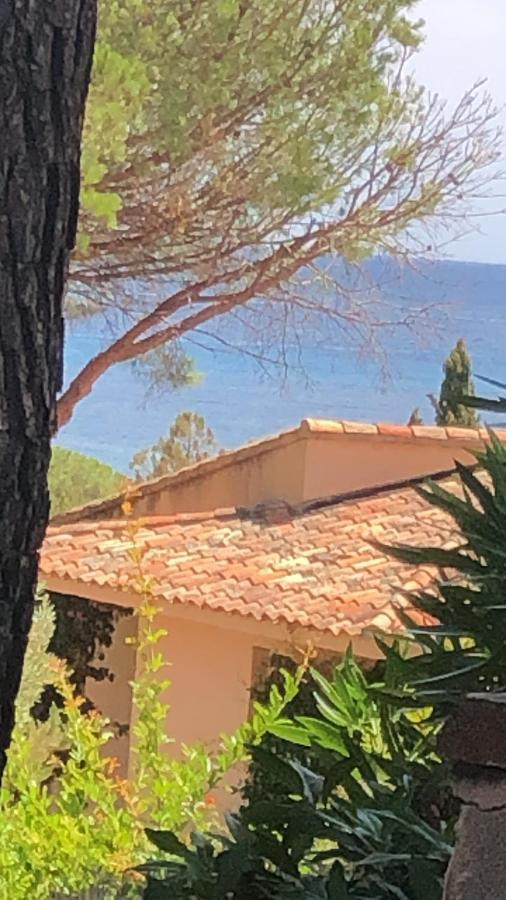 Villa Palombaggia Porto-Vecchio  Exterior foto
